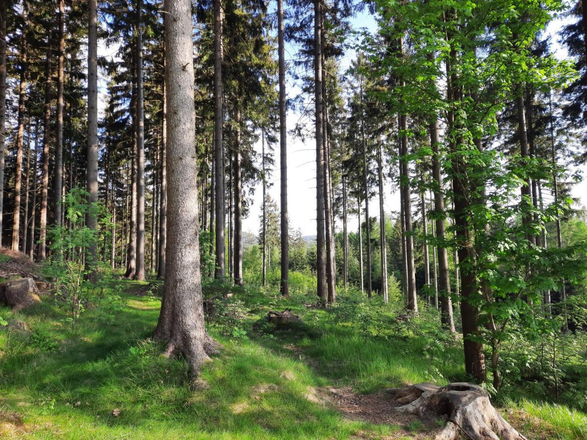 Apartman Mezi Stromy Rokytnice nad Jizerou Bagian luar foto