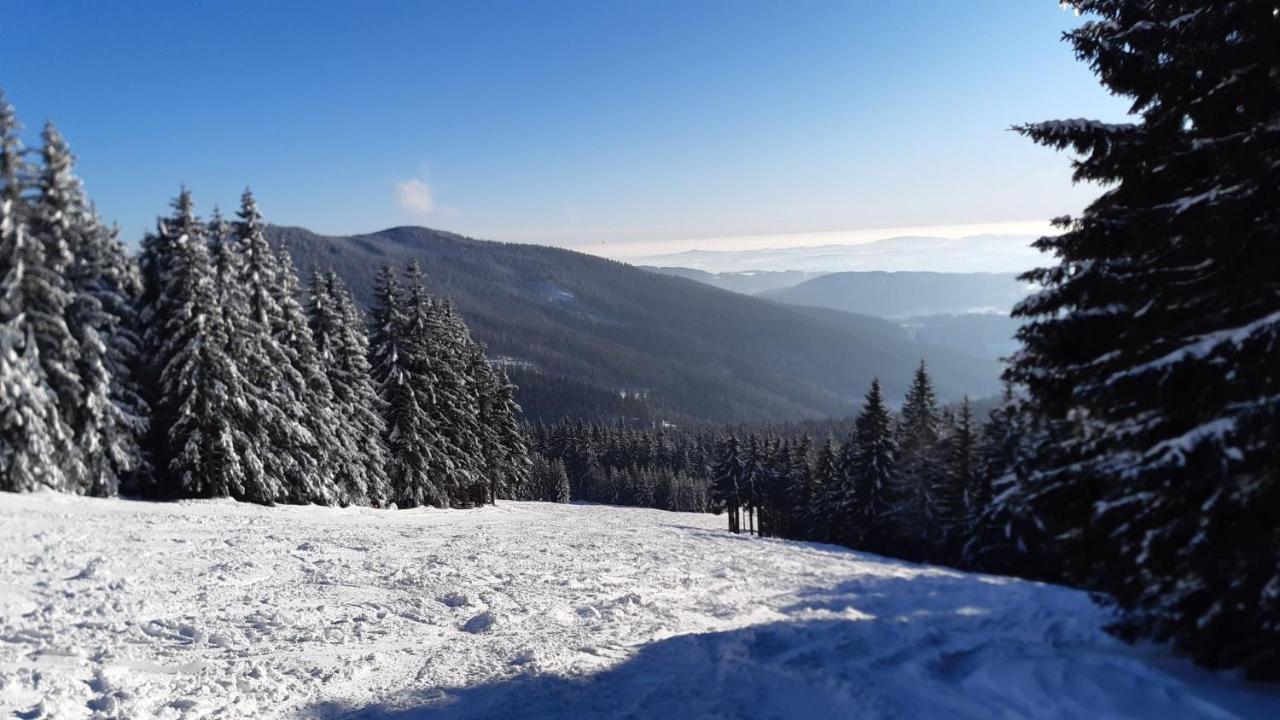 Apartman Mezi Stromy Rokytnice nad Jizerou Bagian luar foto