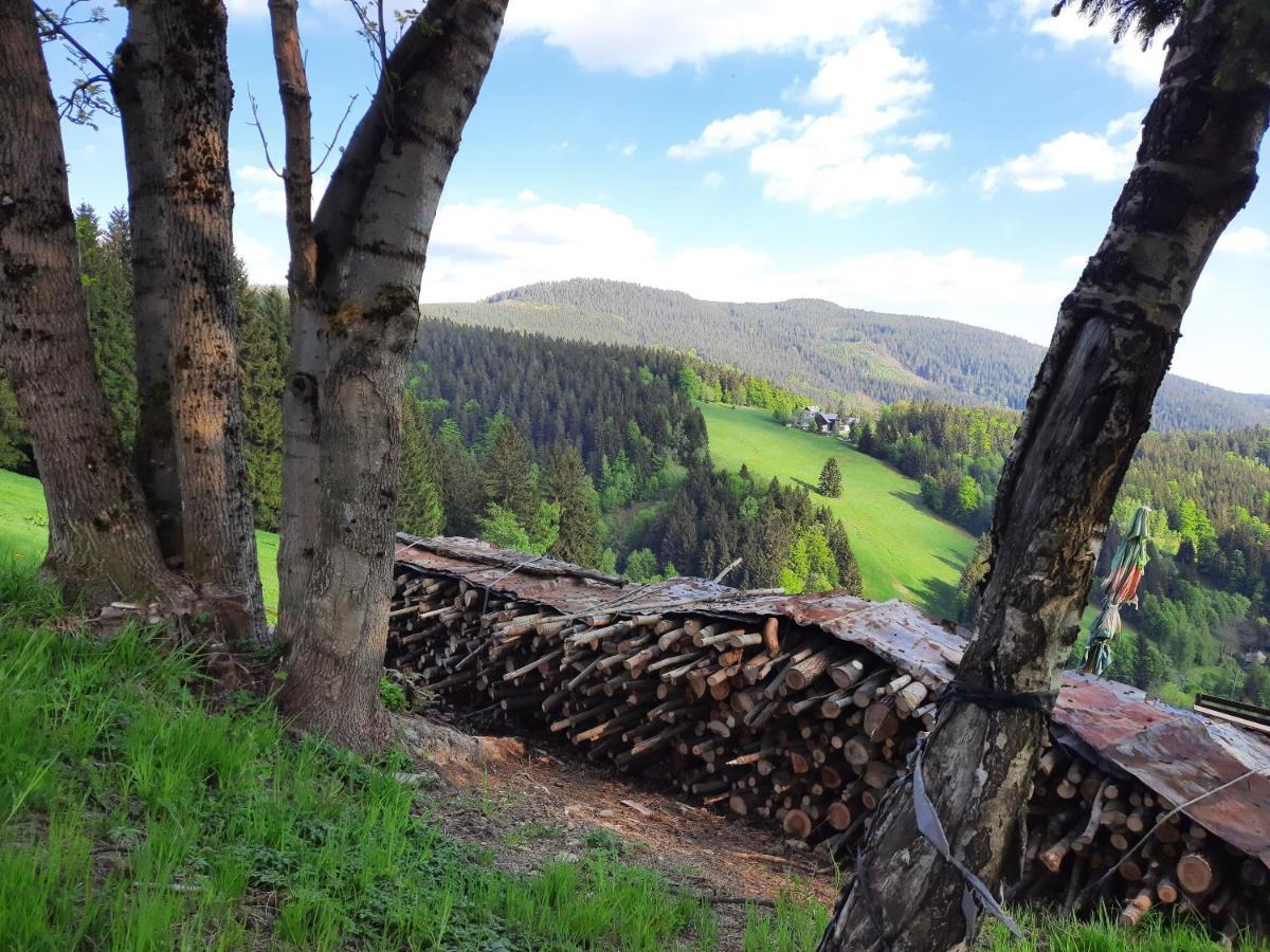 Apartman Mezi Stromy Rokytnice nad Jizerou Bagian luar foto