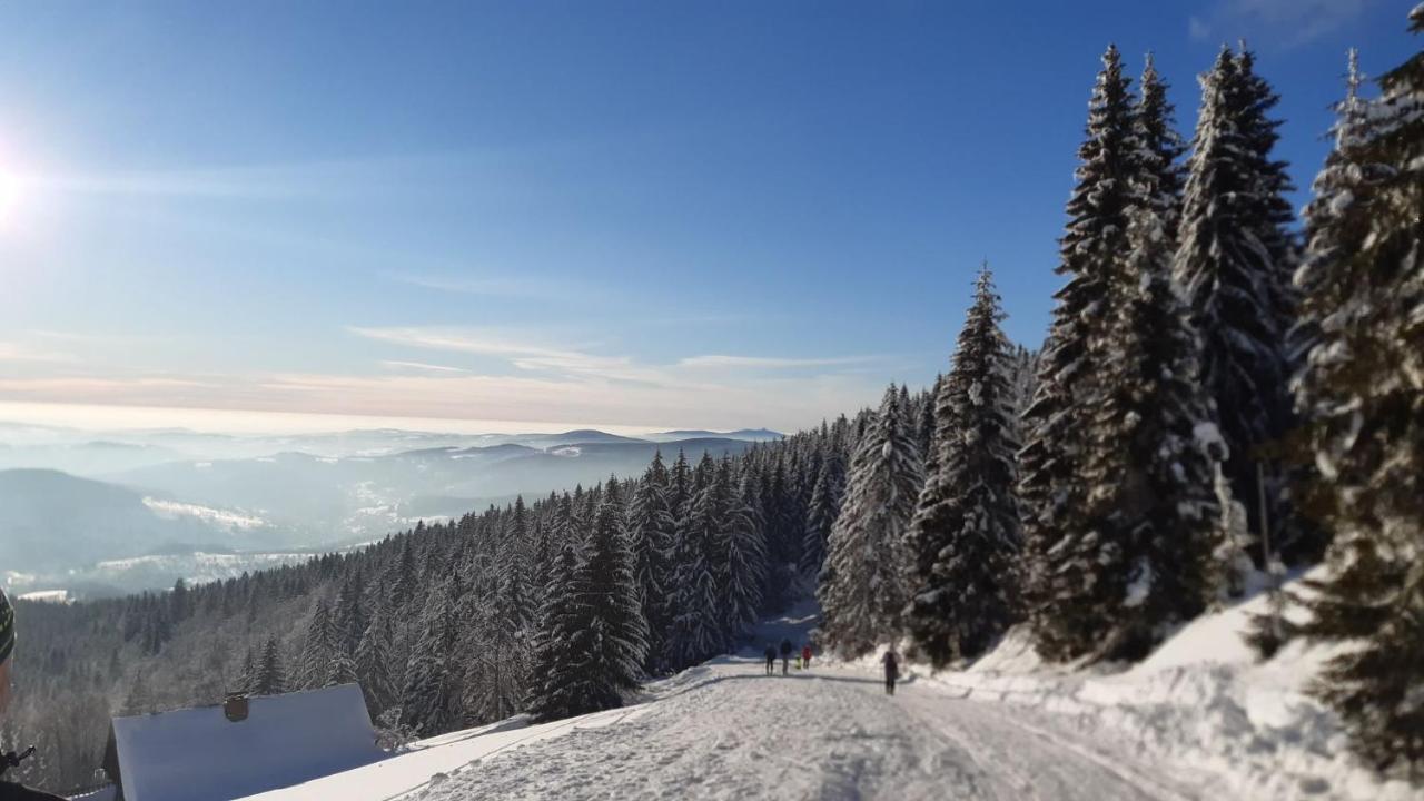 Apartman Mezi Stromy Rokytnice nad Jizerou Bagian luar foto